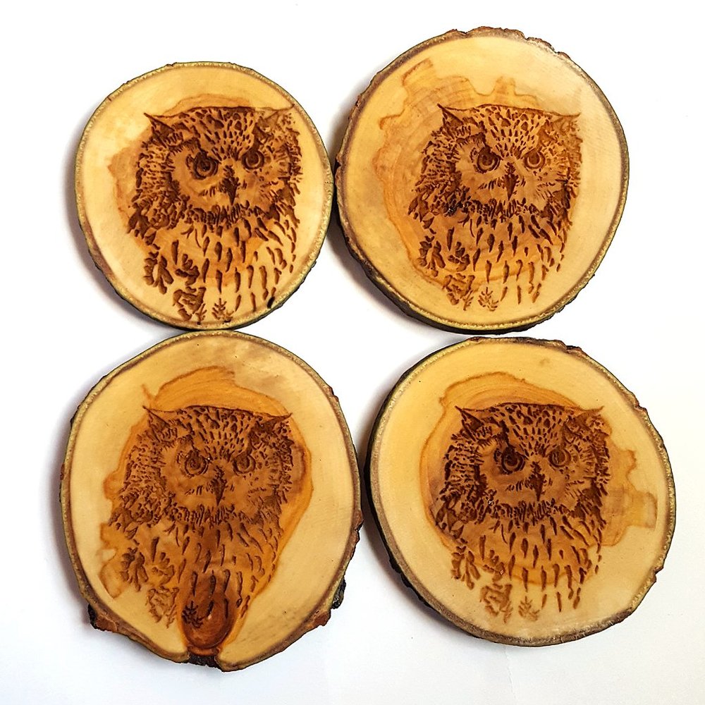 Grumpy Owl Natural Wood Slice Coaster set of 4